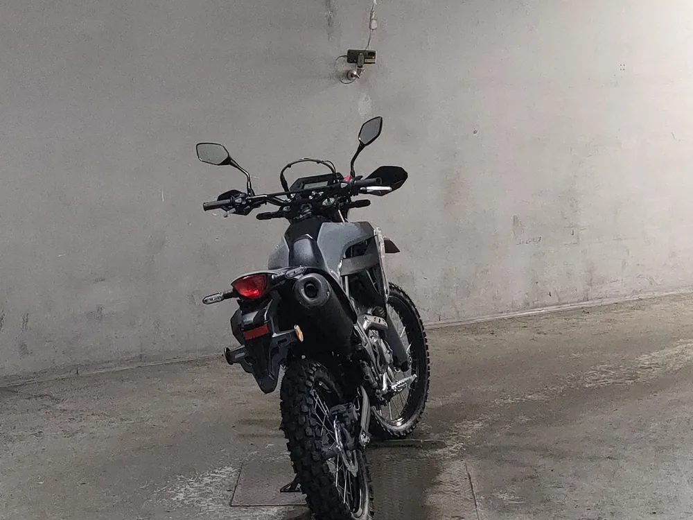Honda CRF250 Rally, серый, фото 4