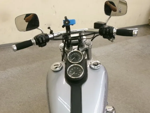 Harley-Davidson Dyna Low Rider FXDL1450 2000, фото 2