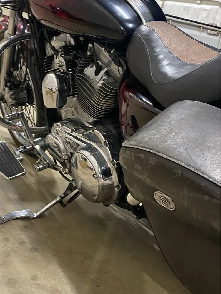 Harley-Davidson XL1200C 2008, фото 2