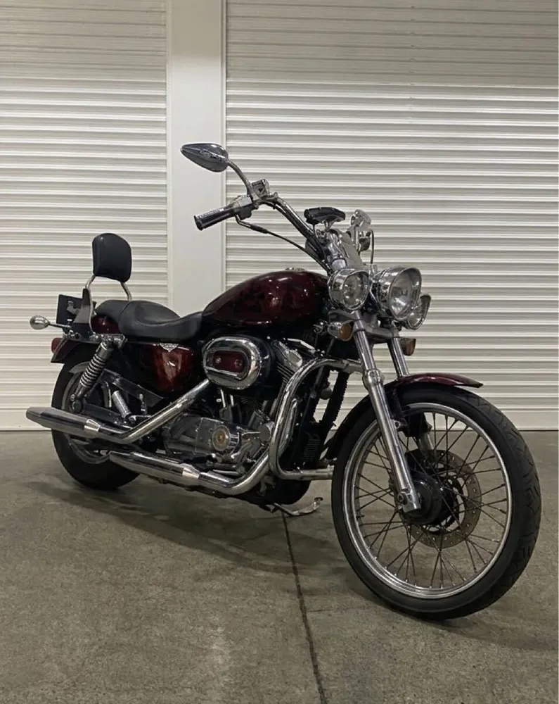 Harley-Davidson XL1200C 2008, фото 3