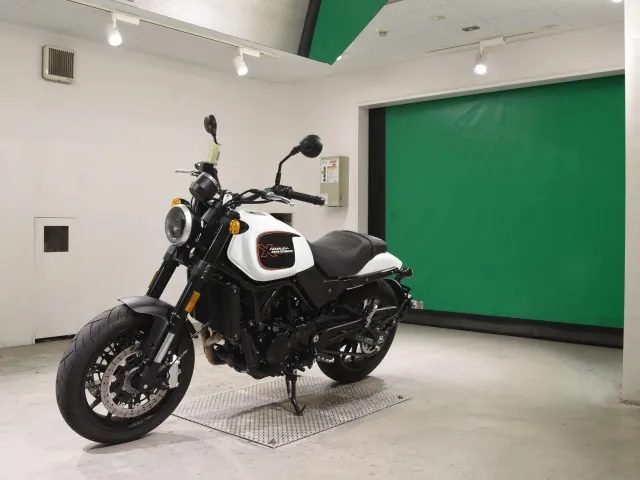 Harley-Davidson X500 2023, белый, фото 4