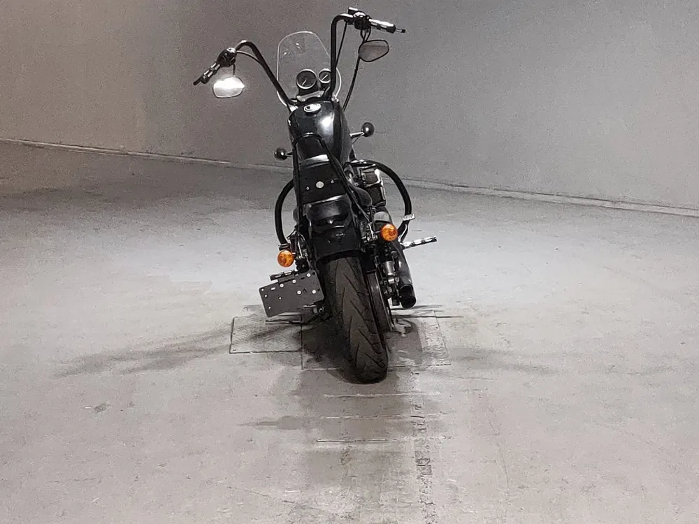 Harley-Davidson XL1200N Sportster 2010, чёрный, фото 4