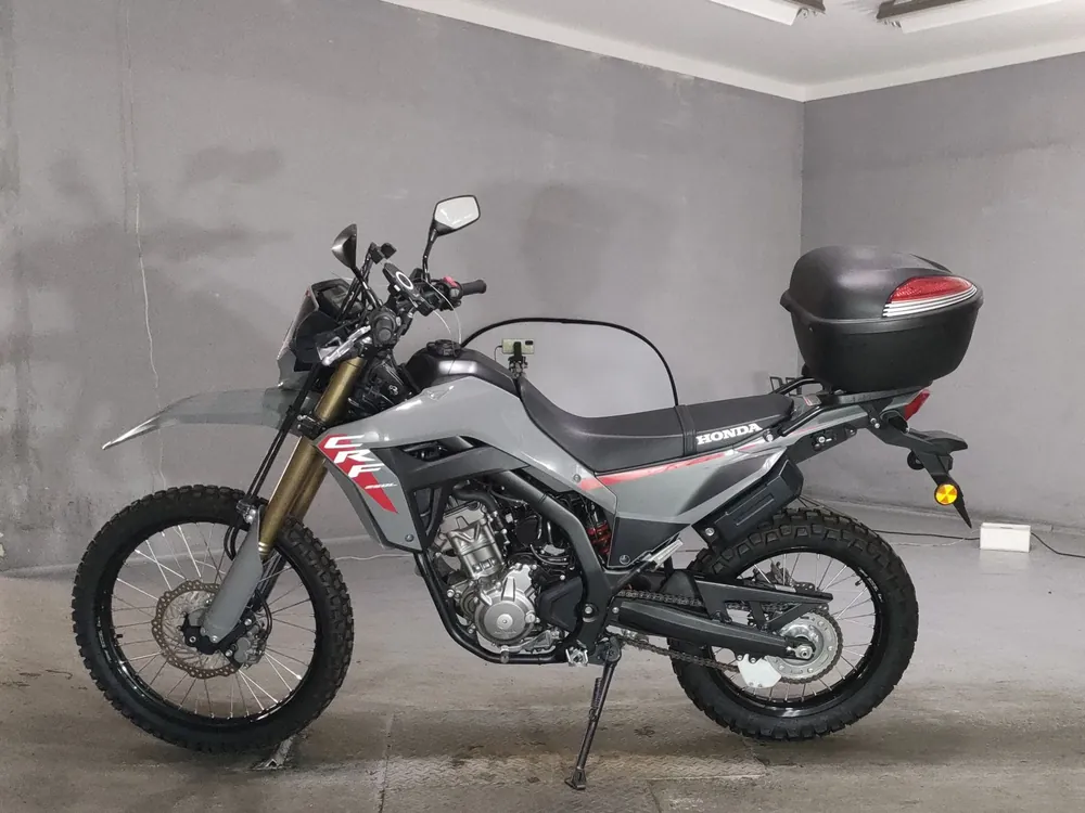 Honda CRF250 Rally, серый, фото 2