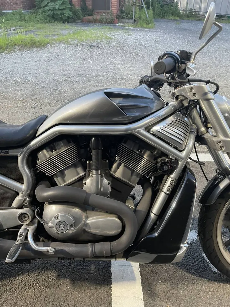 Harley-Davidson VRSCR Street Rod 2006, фото 9