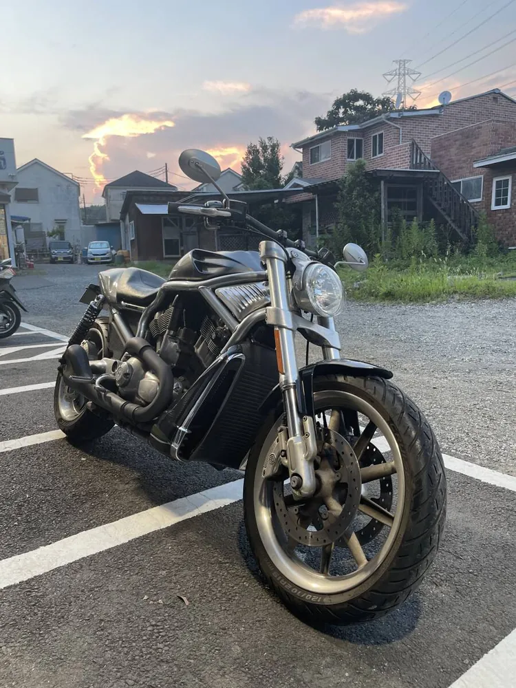 Harley-Davidson VRSCR Street Rod 2006, фото 3