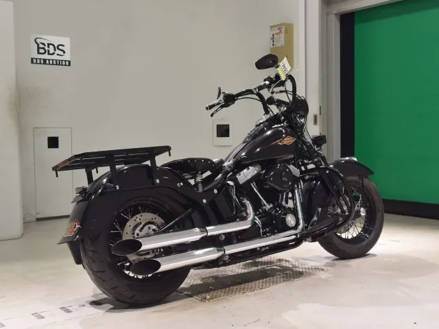 Harley-Davidson FLSTSB1580 2011, чёрный, фото 5