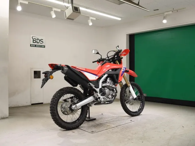 Honda CRF250 Rally, white | red | blue, фото 5