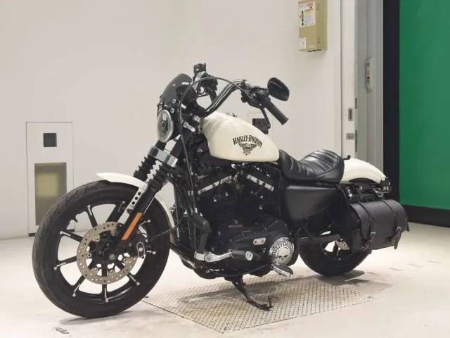 Harley-Davidson XL883N 2017, белый, фото 4