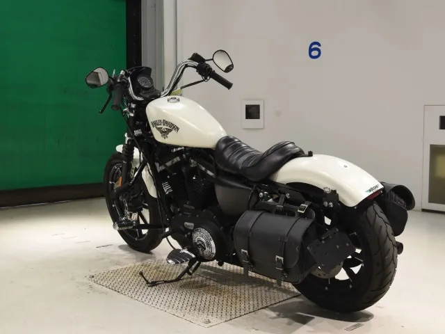 Harley-Davidson XL883N 2017, белый, фото 6