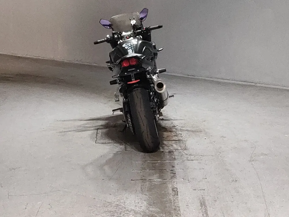 Yamaha FZ1 2010, серый, фото 4