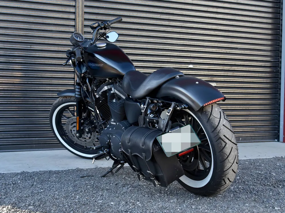 Harley-Davidson XL883N 2009, фото 9