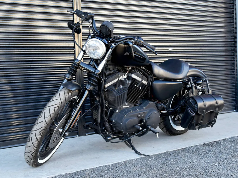 Harley-Davidson XL883N 2009, фото 4