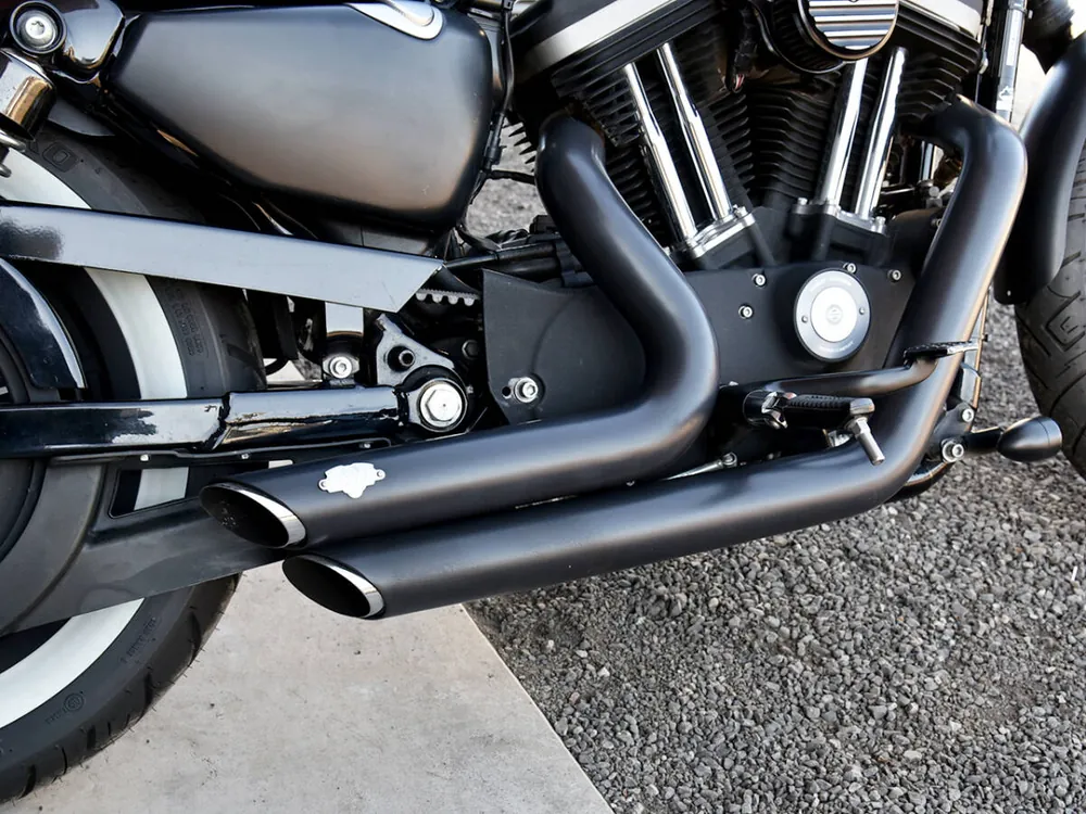 Harley-Davidson XL883N 2009, фото 6