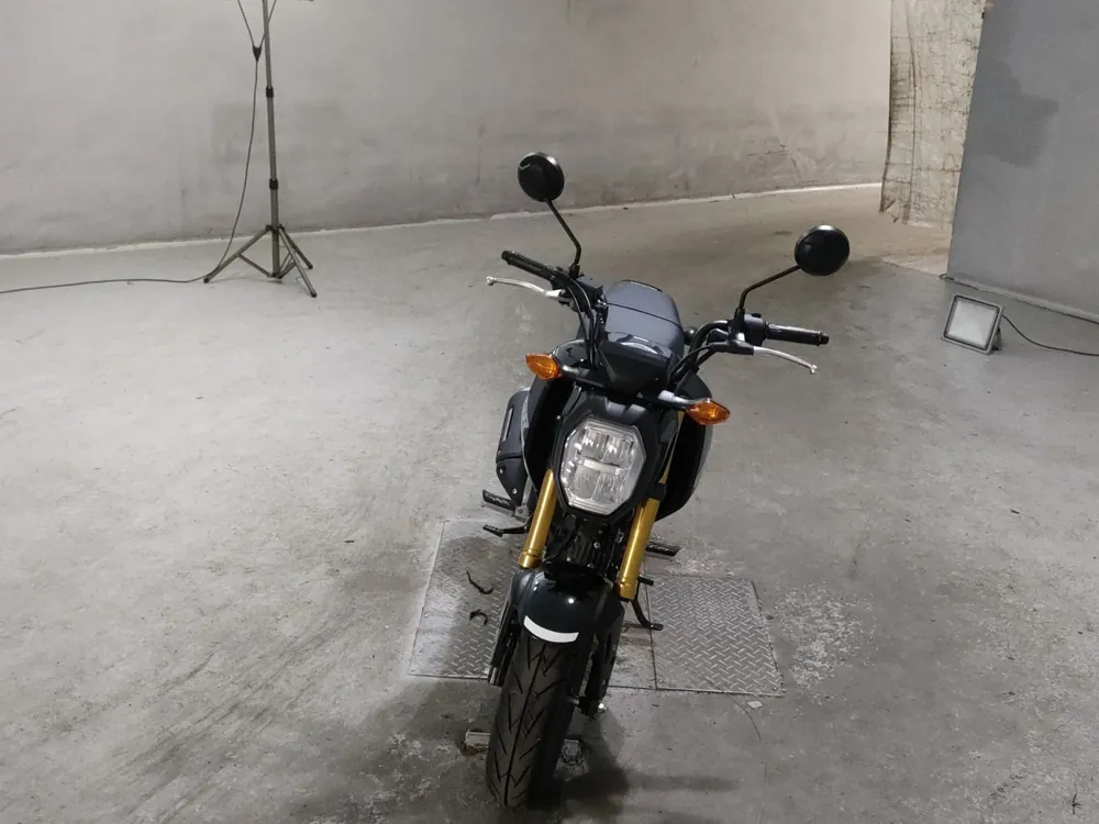 Honda Grom, чёрный, фото 3