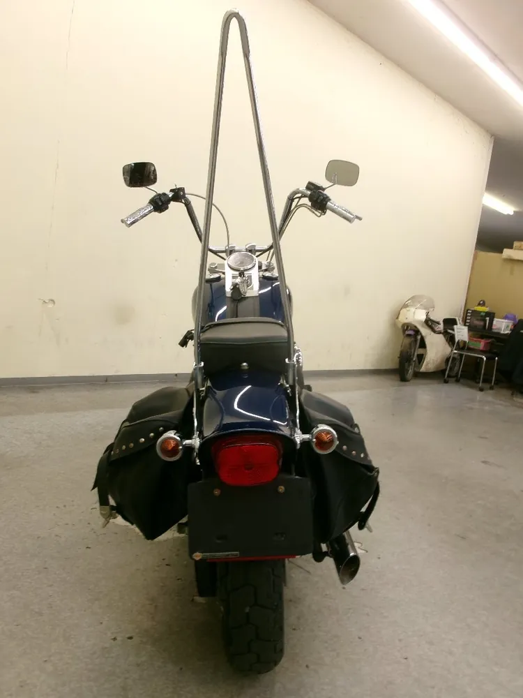 Harley-Davidson Softail Standard FXST1450 2000, фото 9