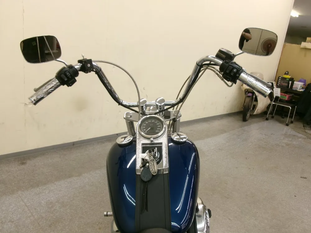Harley-Davidson Softail Standard FXST1450 2000, фото 2