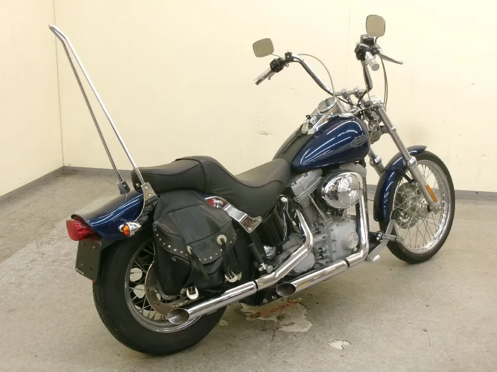 Harley-Davidson Softail Standard FXST1450 2000, фото 3