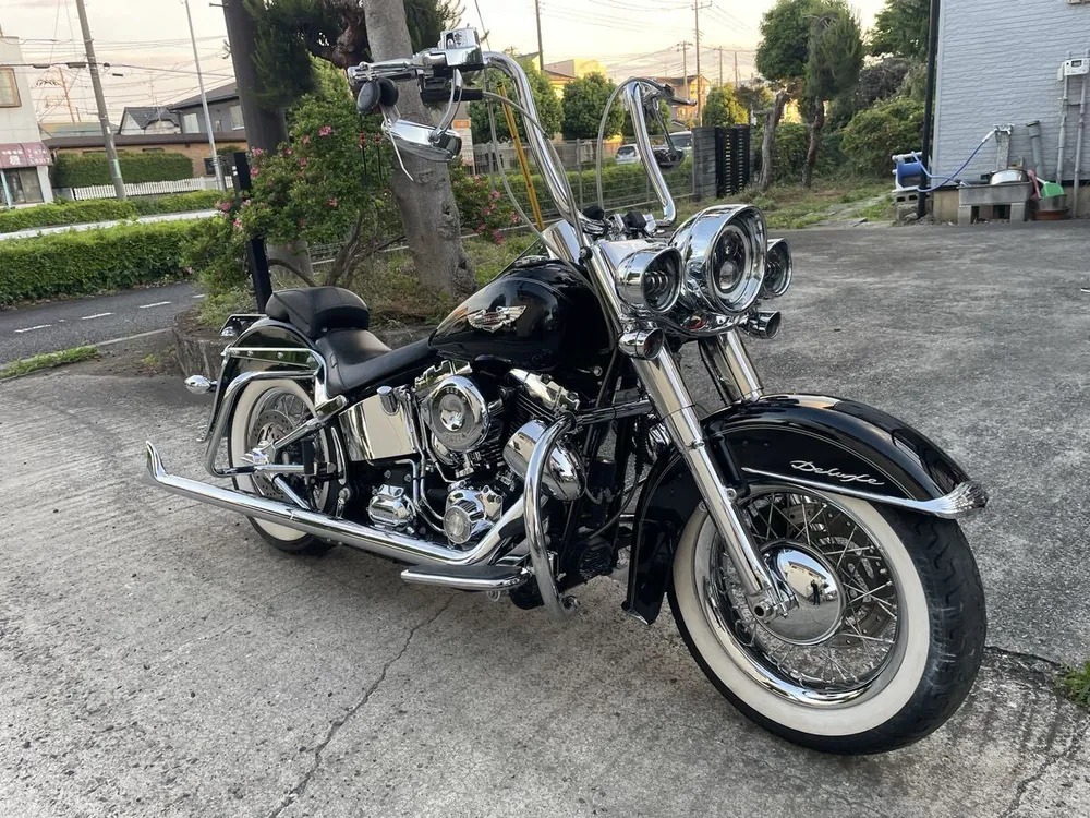 Harley-Davidson FLSTN Softail Deluxe 2014, фото 3