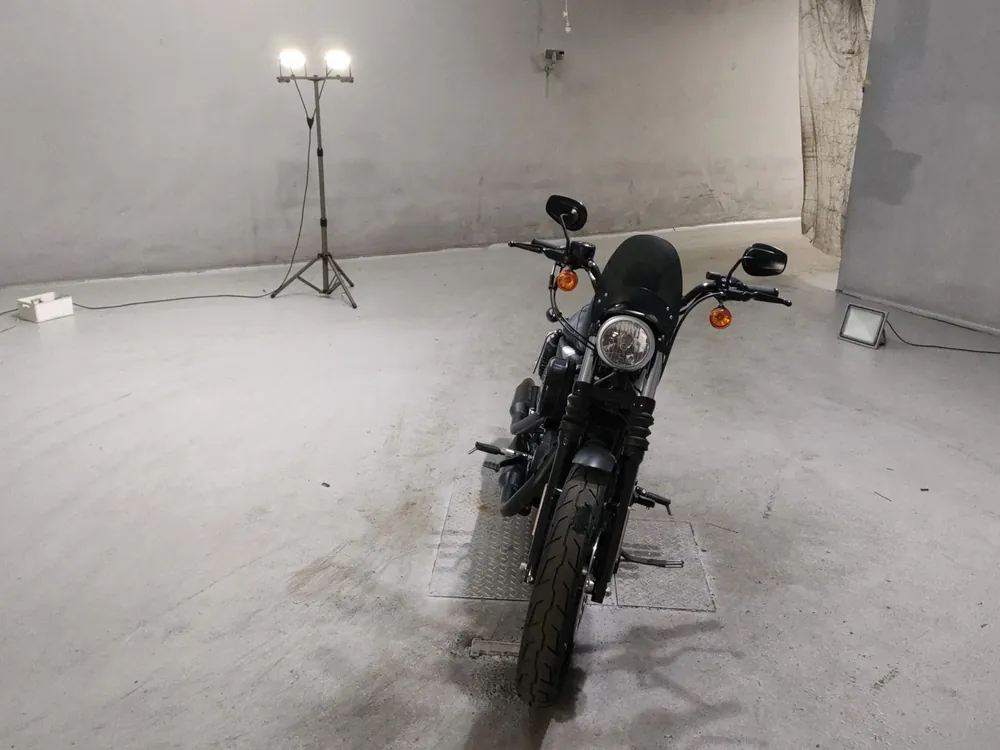 Harley-Davidson XL883N 2016, чёрный, фото 3