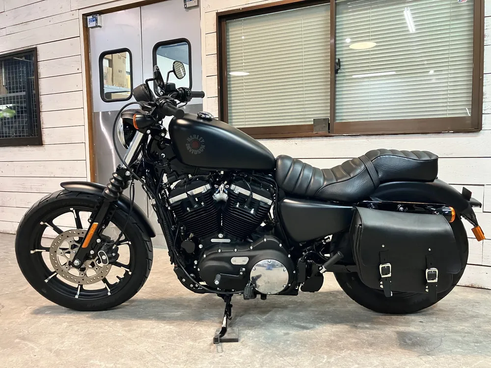 Harley-Davidson Sportster XL883R 2019, maddo black, фото 2