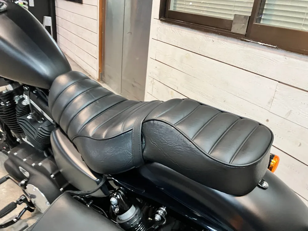 Harley-Davidson Sportster XL883R 2019, maddo black, фото 5