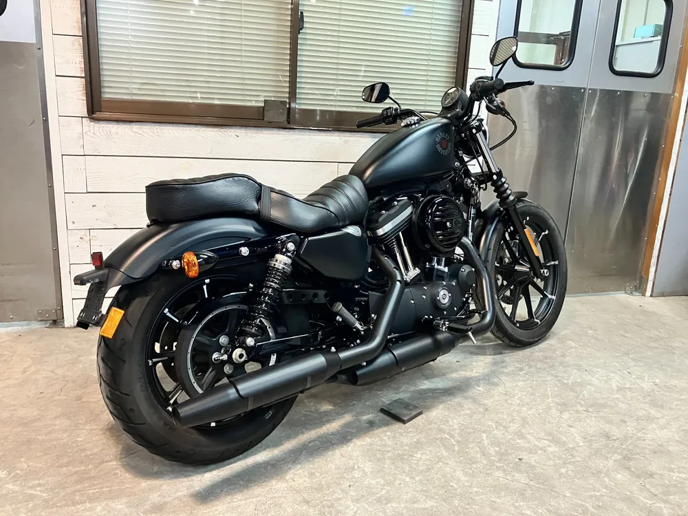 Harley-Davidson Sportster XL883R 2019, maddo black, фото 6