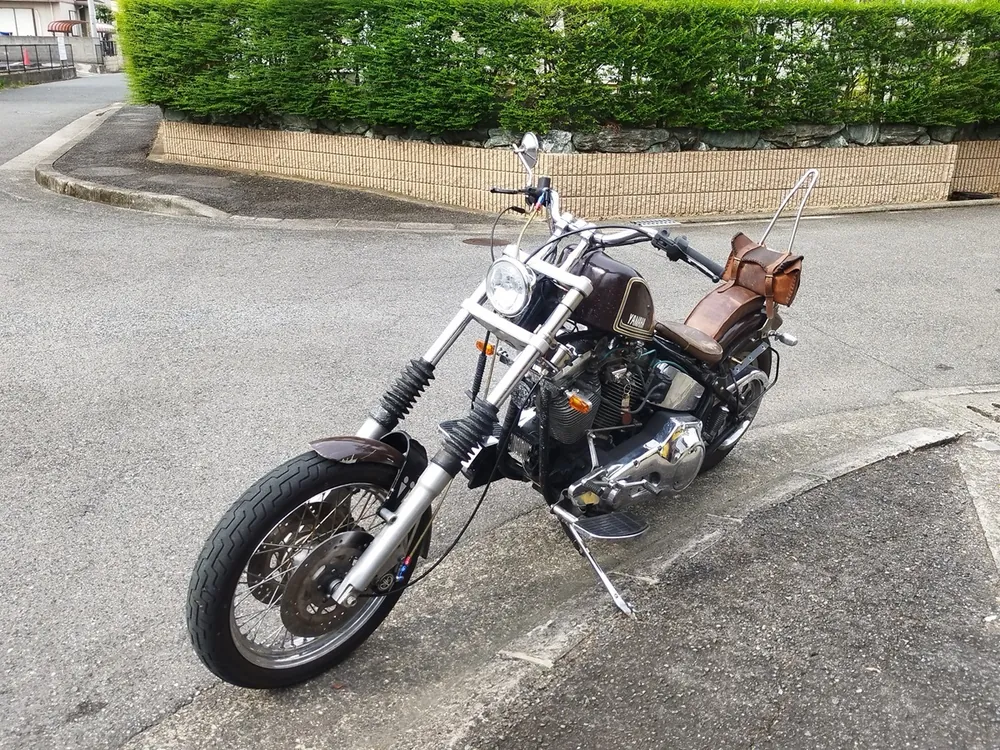 Harley-Davidson FLSTC 1992, фото 5