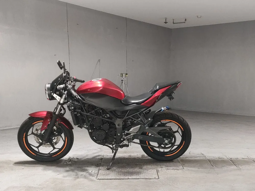 Kawasaki Ninja 250SL, красный, фото 2
