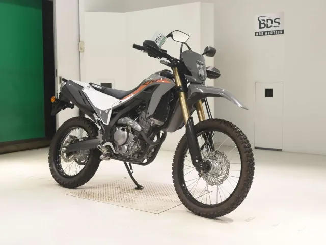 Honda CRF250 Rally, серый, фото 3