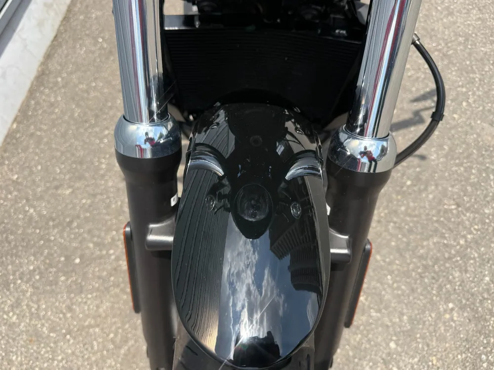 Harley-Davidson RH975S NIGHT STAR 2023, чёрный, фото 17