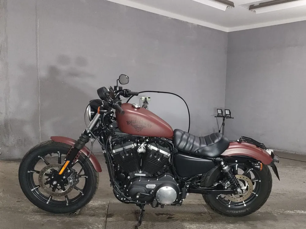 Harley-Davidson XL883N 2017, красный, фото 2