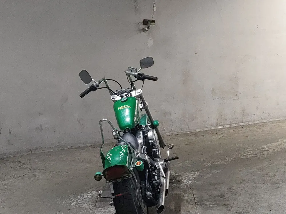 Harley-Davidson FXSTC 1993, зелёный, фото 4
