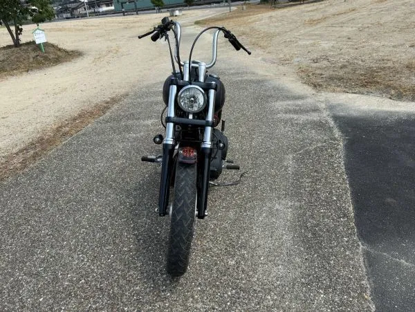 Harley-Davidson FXDBI 2006, фото 10