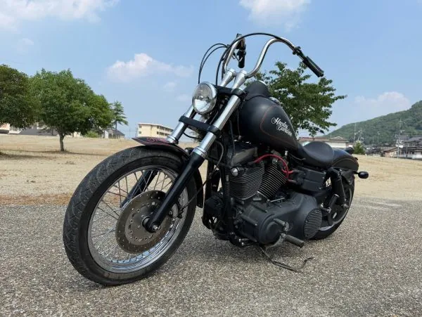 Harley-Davidson FXDBI 2006, фото 7