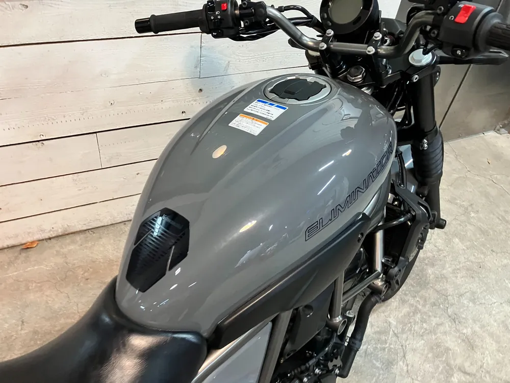 Kawasaki Eliminator 400SE 2024, серый, фото 15