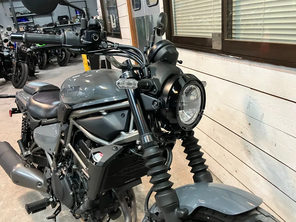 Kawasaki Eliminator 400SE 2024, серый, фото 18