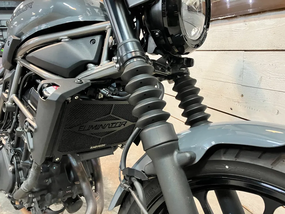 Kawasaki Eliminator 400SE 2024, серый, фото 19