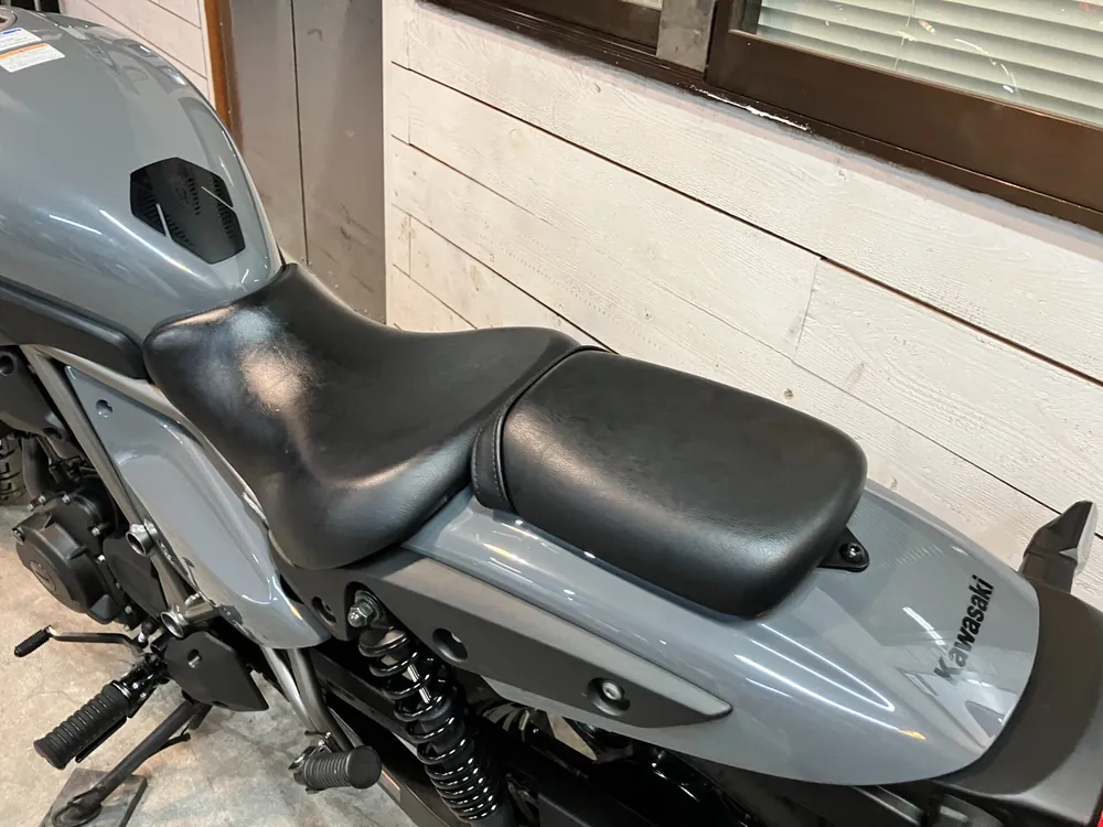 Kawasaki Eliminator 400SE 2024, серый, фото 5