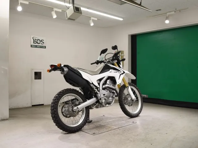 Honda CRF250L, белый, фото 5