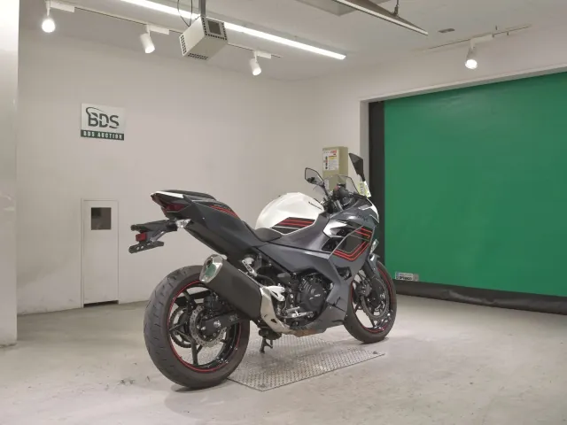 Kawasaki Z400 2024, белый, чёрный, фото 5