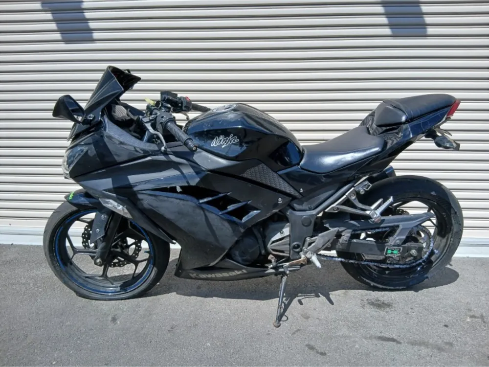 Kawasaki Ninja 250, чёрный, фото 4