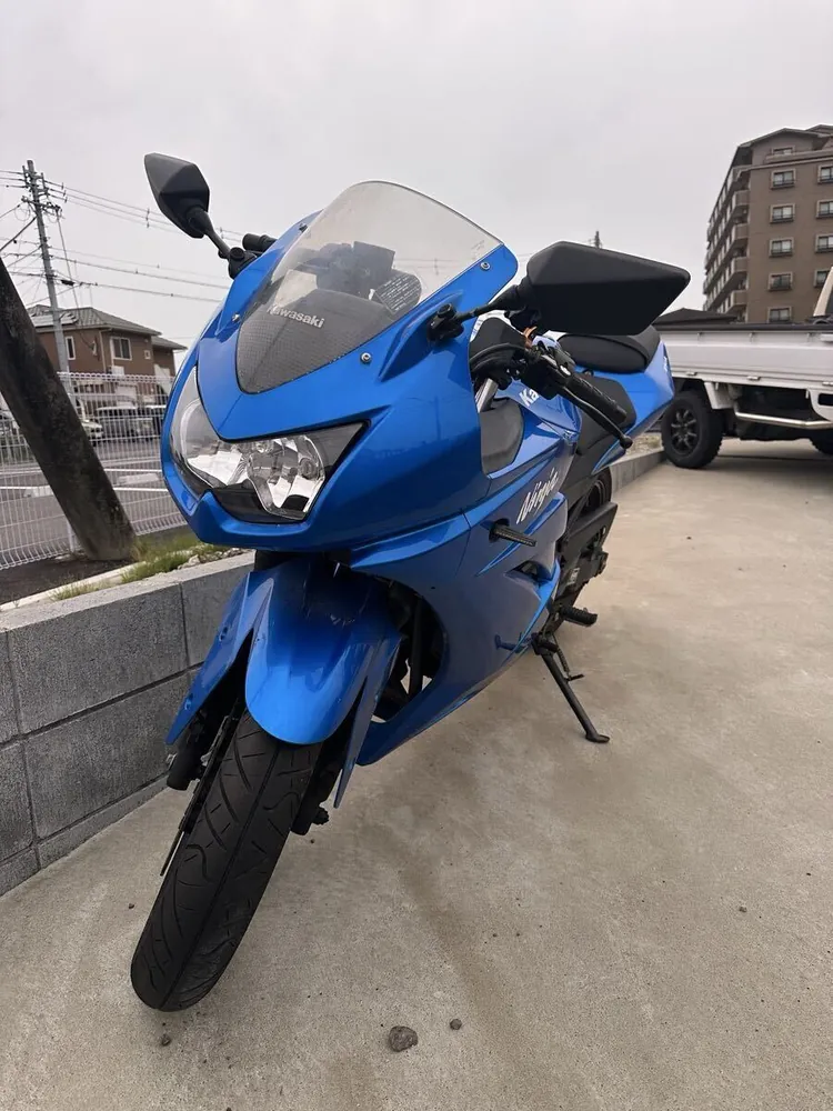 Kawasaki Ninja 250R 2008, фото 4