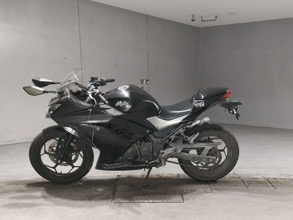 Kawasaki Ninja 250, чёрный, фото 2