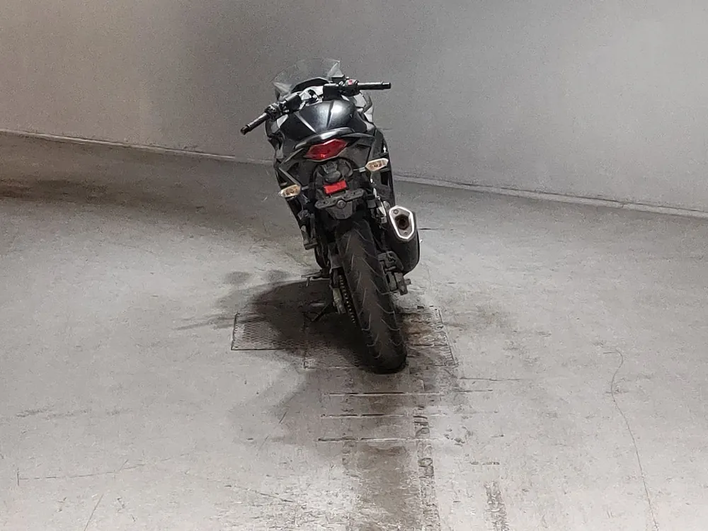 Kawasaki Ninja 250, чёрный, фото 4
