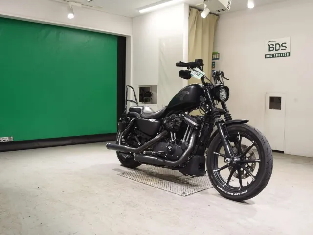 Harley-Davidson XL883N 2017, matt black, фото 3