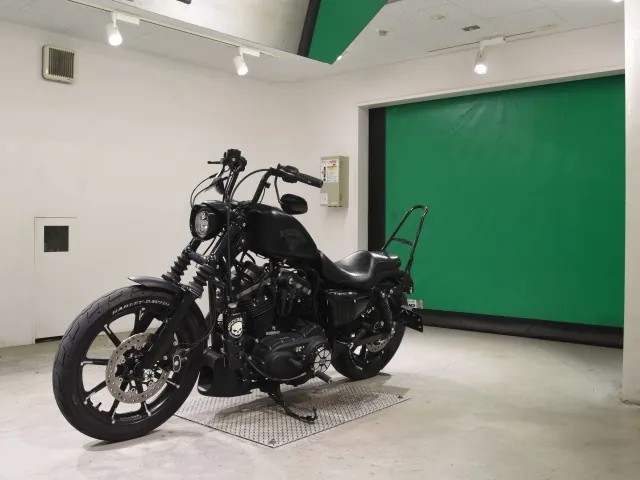 Harley-Davidson XL883N 2017, matt black, фото 4