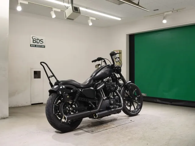 Harley-Davidson XL883N 2017, matt black, фото 5