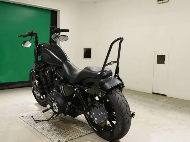 Harley-Davidson XL883N 2017, matt black, фото 6