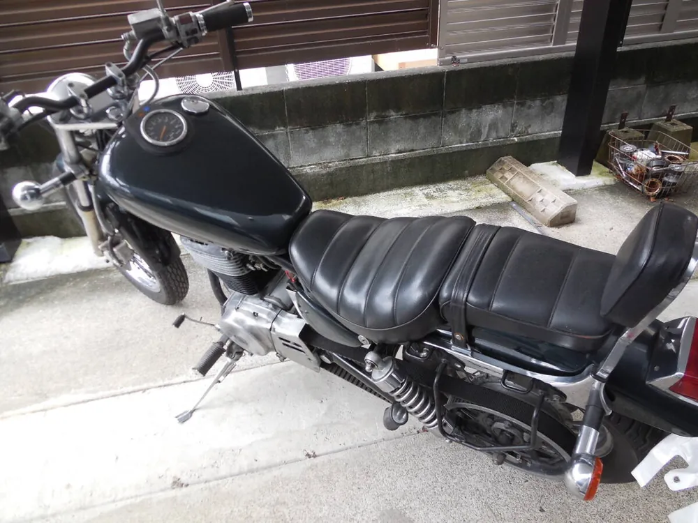 Suzuki Savage 650 1988, фото 4