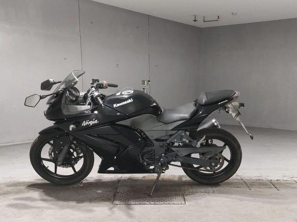 Kawasaki Ninja 250SL, чёрный, фото 2